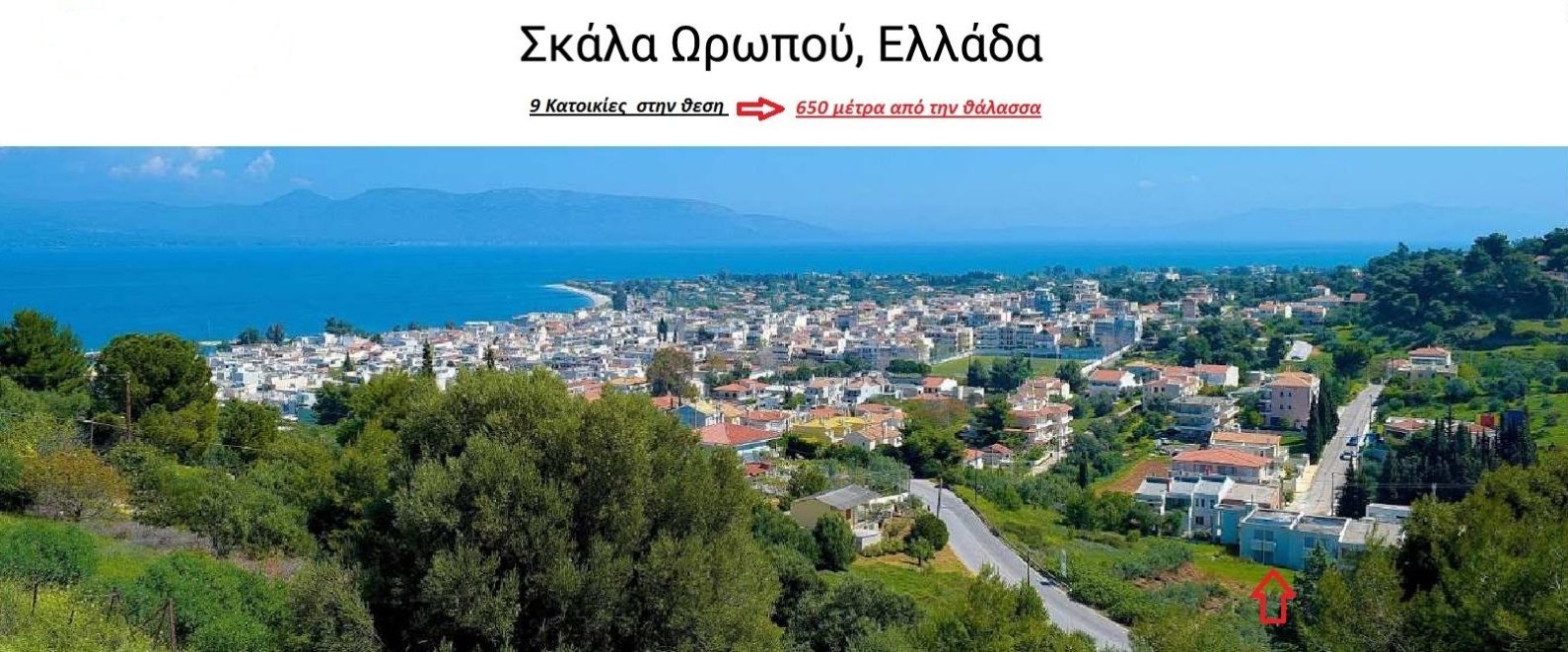 Πανοραμική άποψη της Σκάλας Ωρωπού από ψηλά, που δείχνει τον οικισμό, τη θάλασσα και το συγκρότημα κατοικιών σε απόσταση 650 μέτρων από την ακτή.