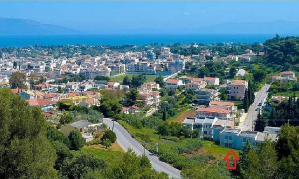 Πανοραμικλη φωτογραφία από τα Νέα Παλάτια Ωρωπού